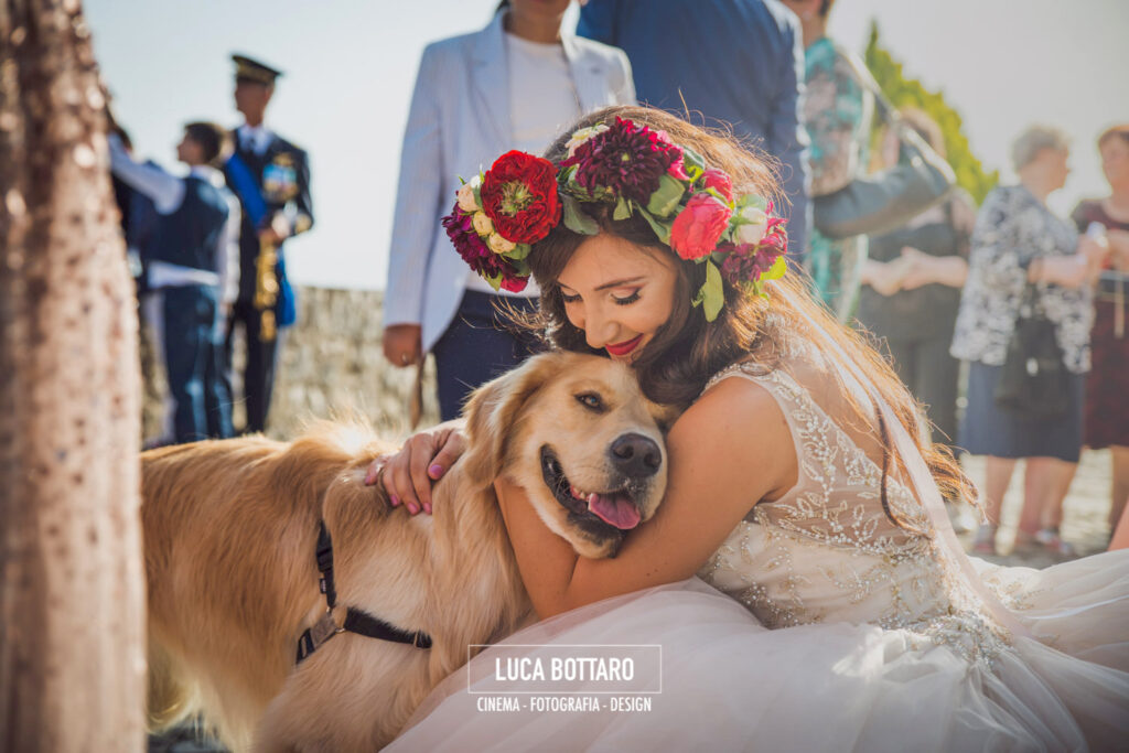 DOG WEDDING